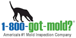 1-800-GOT-MOLD? Mold Inspection Franchise. America's #1 Mold Inspection Franchise Company. Join A Leading Mold Inspection Franchise In This Multi-Billion Dollar Market. Owning a 1-800-GOT MOLD? Franchise May be the Perfect Fit for Your Life. We are the leading indoor-air-quality improvement firm specializing in the detection, location and diagnosis of mold and moisture problems indoors.