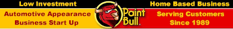Paint Bull - Paintless Dent Repair Business. Low Investment Mobile Based Business. No Automotive Experience Necessary. Start Your Own Automotive Business. Everyone dreams of starting a business, but few actually follow through with the vision. At Paint Bull, our team is passionate about making the dream of business ownership come true.
