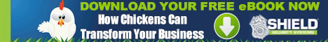 SHIELD Security Franchise Business. Own A Home Based Security Franchise. Join The $200 Billion a Year Security Industry. Security Franchise Opportunity With Industry Expertise and Law-Enforcement Support. Profit margins in the electronic security field are strong.
