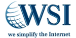 Internet Consultant Franchise Opportunity.  WSI Internet Franchise is The #1 Rated Internet Franchise Opportunities.  WSI Internet Consulting Home Based franchise Owners ( Internet Consultants ) both men and women consist of all ages and backgrounds. Like a modern day architect, your job as a WSI franchise owner is to assess your clients business needs using WSI INTERNETs patent pending Lifecycle™ System.