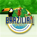 Water Franchise - Bottled Water Franchise - Bottled Water Business - Spring Water Franchise - Beverage Franchise - Spring Water Business - Drink Franchise - Energy Drink Distributor - Bottled Spring Water Distributor.  Become A Brazilian Springs Bottled Water Distributor.  Ecostreams International brings you Brazilian Springs Bottled Water, the worlds purest, healthiest, and first eco-friendly water. Ecostreams Brazilian Springs Water is part of the fastest growing business segments in America!  If this sounds like the ideal opportunity for you, investing in Brazilian Springs Water can start as low as under $10K. Prime locations are still available.