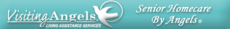Senior Care Franchise - Homecare Franchise - Home Care Franchise - - Homecare Franchise - In Home Non-medical care.  Non-medical, "Senior Homecare by Angels". A home based business sending caregivers to the homes of the elderly. Our experience dates to 1980
