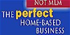 Home Based Business Opportunity, Specialty Wholesale Merchandise, Import Export Business Franchise.  Since its inception in 1999, the International Merchandise Group (IMG) has established itself as a leader in the profitable wholesale & surplus domestic merchandising and import/export business opportunity industry